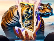 Animal Tiger Memory Match