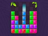 Block Puzzle Jewel Game