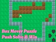 Box Mover Puzzle Push Solve Win