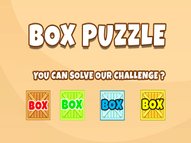 Box Puzzle