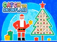 Catch The Snowflake