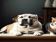 Cats And Dogs Slide Puzzle