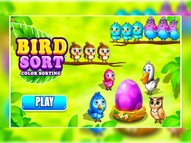 Color Bird Sort Puzzle Games