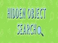 Hidden Object Search