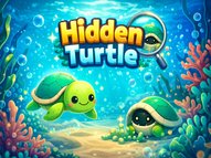 Hidden Turtle