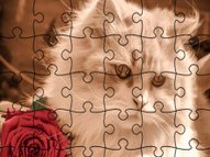 Jigsaw Puzzle Cats Gpx