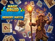 Magic Druid Memory Match