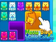 Meow Block Color Collect