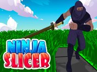 Ninja Slicer