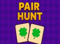Pair Hunt