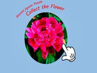 Round Jigsaw Puzzle Collect The Flower