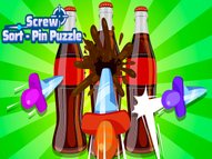 Screw Sort Pin Puzzle